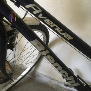 Bianchi Avenue Purple