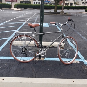 2021 sixthreezero Ride in the Park Consistent Silver, gray or bare metal