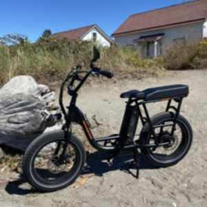 2020 Rad Power Bikes Rad Runner 1 Black