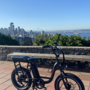 2020 Rad Power Bikes Rad Runner 1 Black