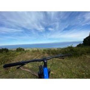2020 Giant TRANCE 3 Blue