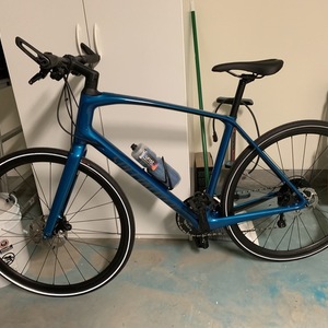 2018 Specialized Teal