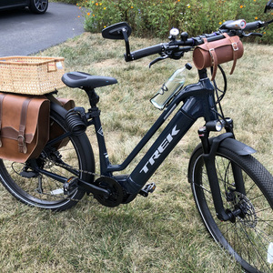 2021 Trek Low Step Green