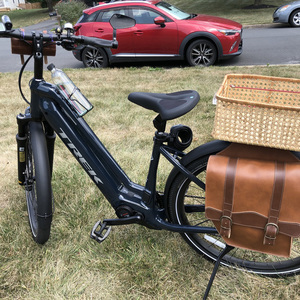 2021 Trek Low Step Green