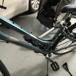 2007 Giant Cypress Blue