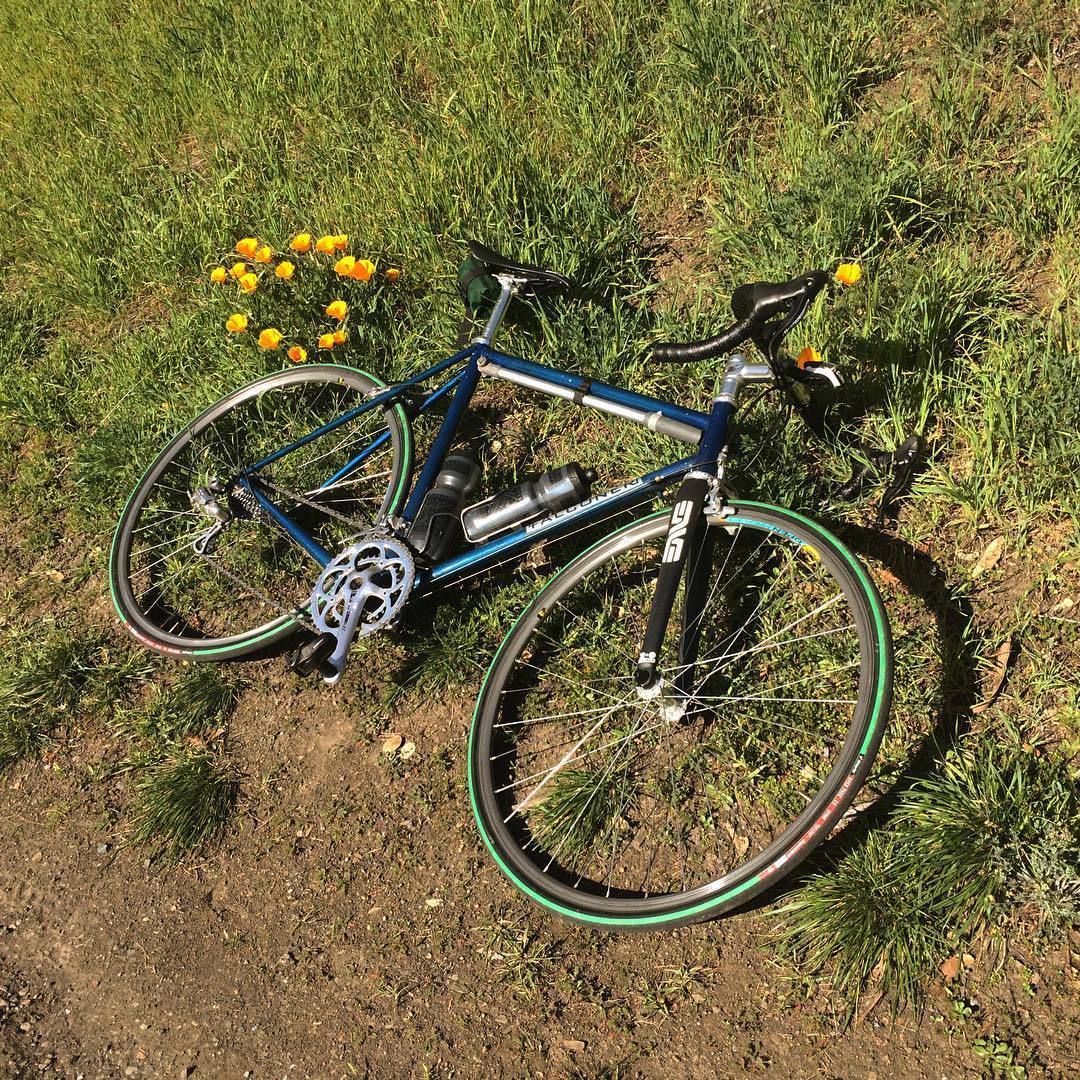 2014 Falconer Custom road bike