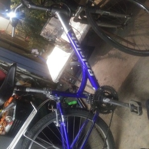 Raleigh Woman Blue and Silver, gray or bare metal