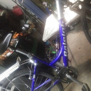 Raleigh Woman Blue and Silver, gray or bare metal