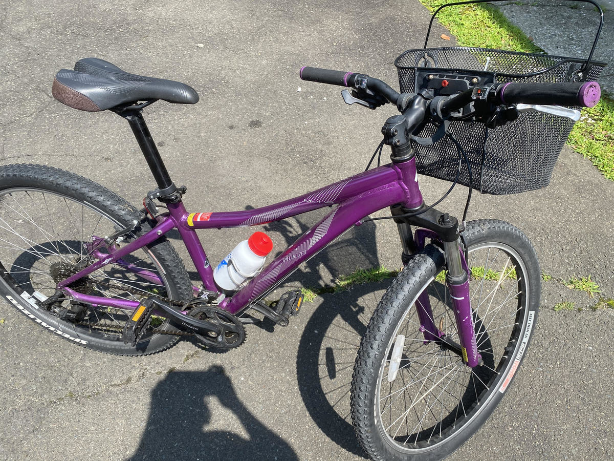 specialized 15 frame