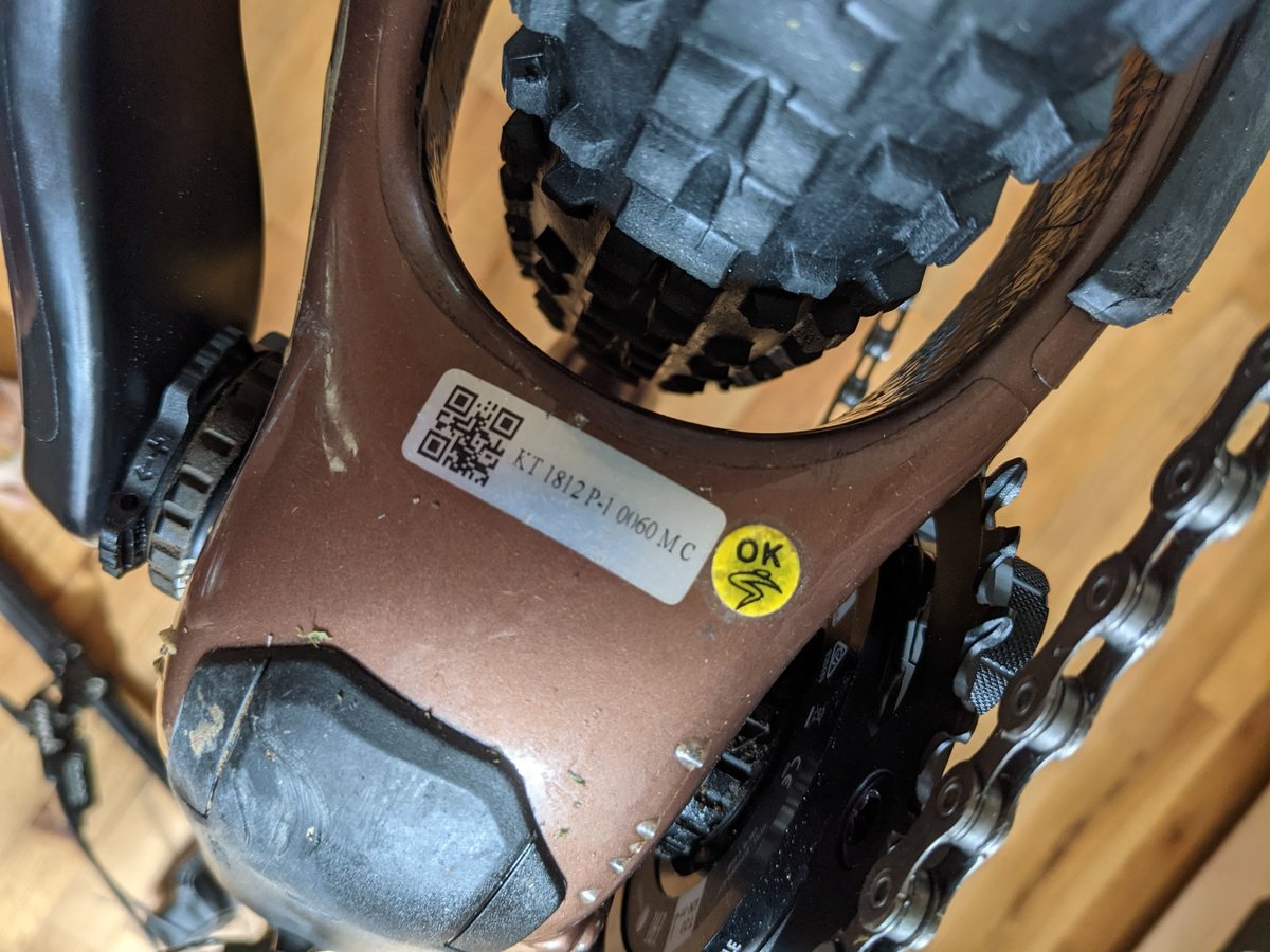 chameleon santa cruz 2019