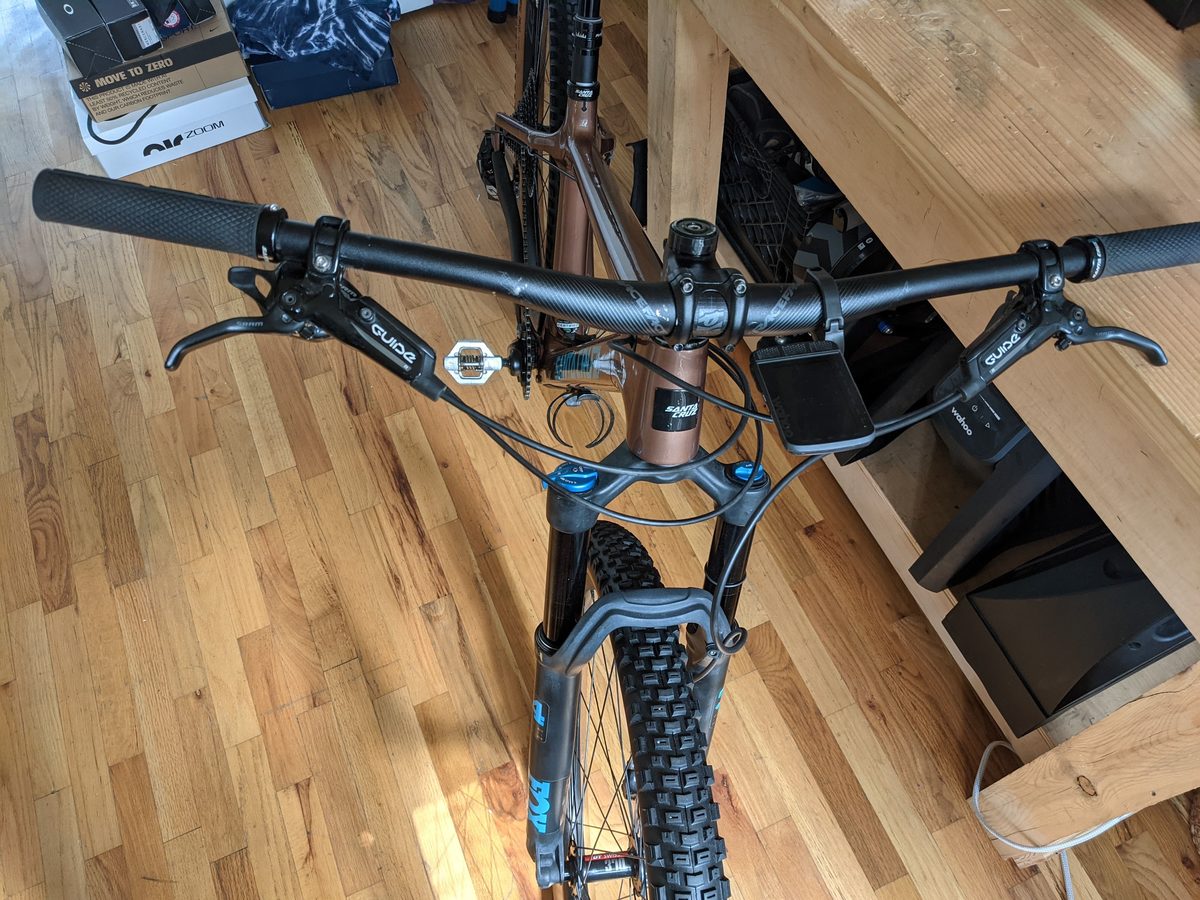 santa cruz chameleon c