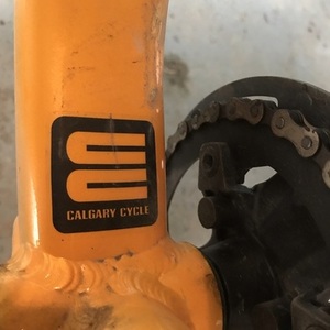 2019 Norco Bikes 20 Scene 3 Yellow or Gold
