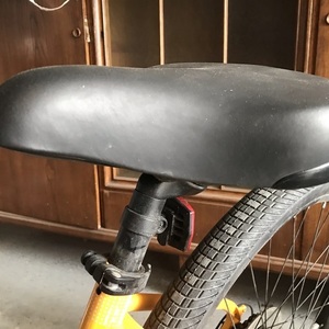 2019 Norco Bikes 20 Scene 3 Yellow or Gold
