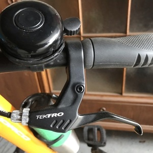 2019 Norco Bikes 20 Scene 3 Yellow or Gold
