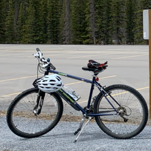 1999 Rocky Mountain Bicycles Fusion Blue