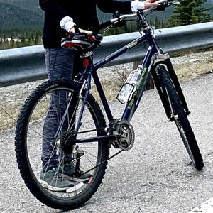 1999 Rocky Mountain Bicycles Fusion Blue