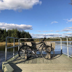 2019 GT Bicycles Transeo Black