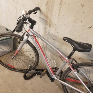 2016 Devinci St tropez Silver, gray or bare metal and Red