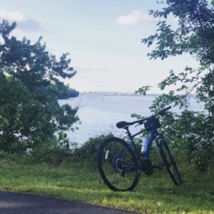 2020 Fuji Traverse Green