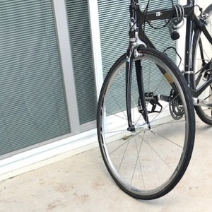 Scattante CFR Black and Yellow or Gold