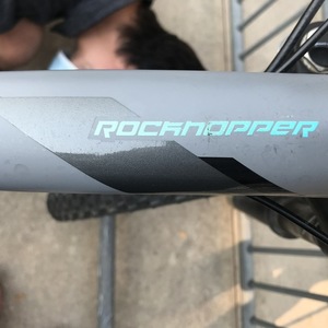 2017 Specialized Rock Hopper Silver, gray or bare metal