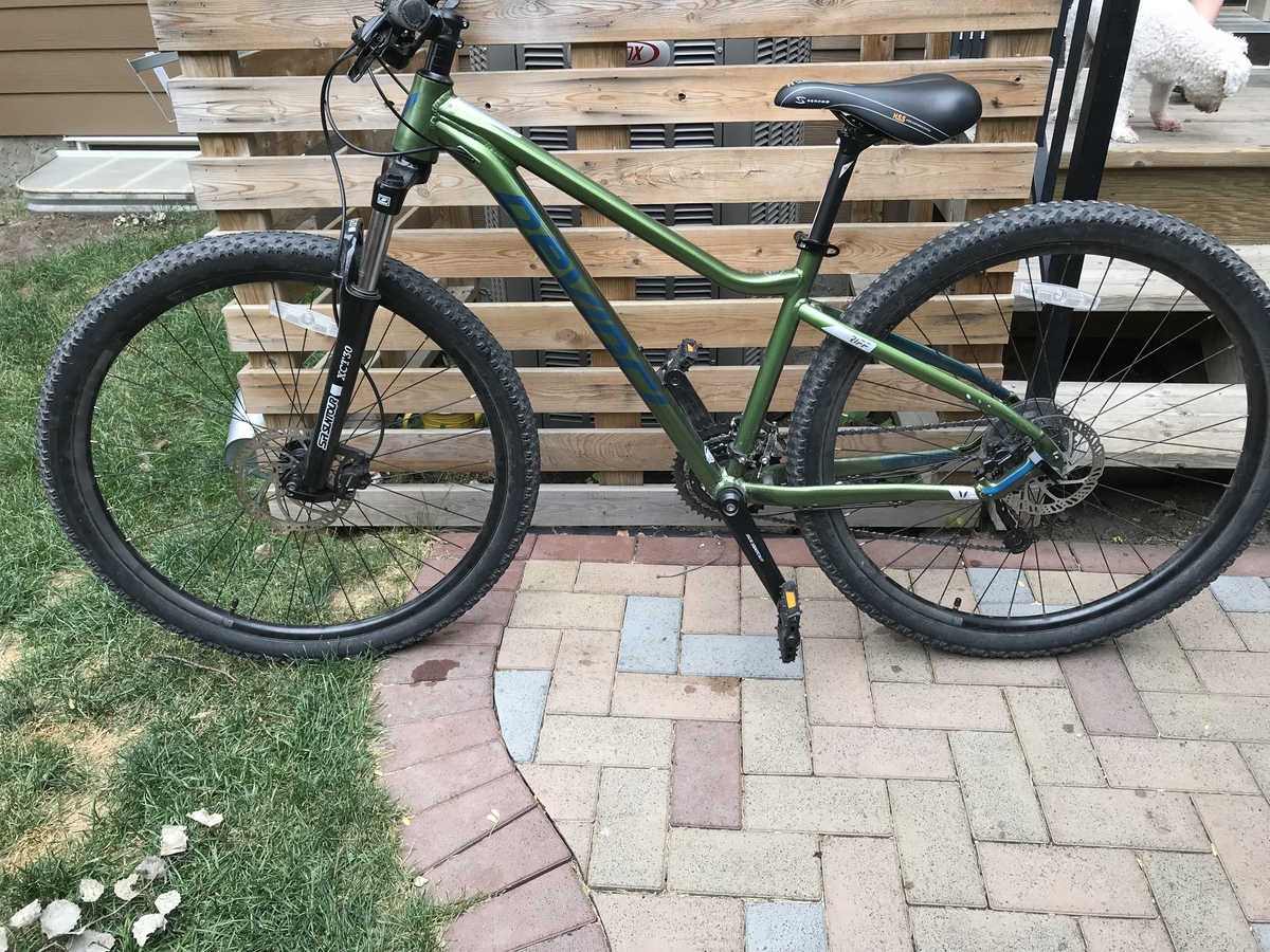2020 Devinci Riff Acera