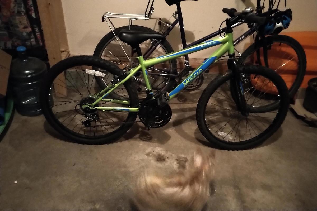 Bike photo