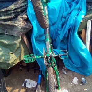 2001 Mongoose Unknown Green and Black