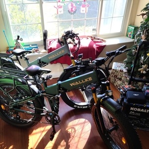 2020 Wallke X3 Pro Green