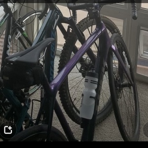 2020 Trek Emonda SL 5 Purple and Green
