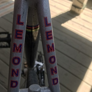 LeMond Nevada City Silver, gray or bare metal