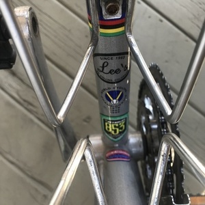 LeMond Nevada City Silver, gray or bare metal