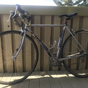 LeMond Nevada City Silver, gray or bare metal
