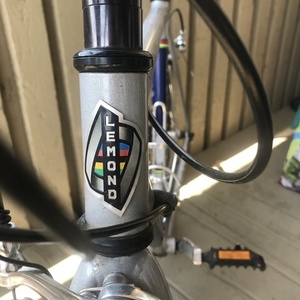 LeMond Nevada City Silver, gray or bare metal