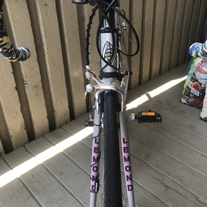 LeMond Nevada City Silver, gray or bare metal