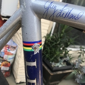 LeMond Nevada City Silver, gray or bare metal