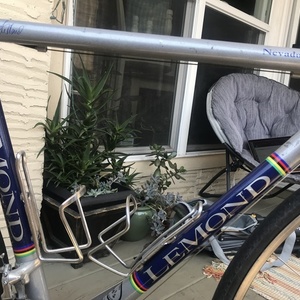 LeMond Nevada City Silver, gray or bare metal