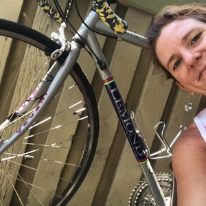 LeMond Nevada City Silver, gray or bare metal