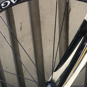 Trek Orange and White