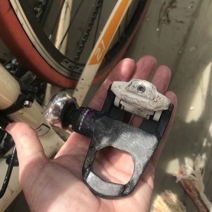 Trek Orange and White