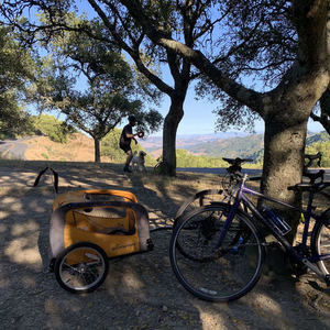 2015 Specialized Vita Purple