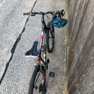 2021 Trek 820 Silver, gray or bare metal