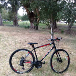 2021 Schwinn Black and Red