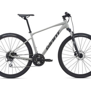 2021 Giant Roam 3 Silver, gray or bare metal