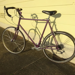 1990 Backroads / Fuji Chimayo Purple