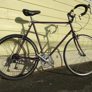 1990 Backroads / Fuji Chimayo Purple