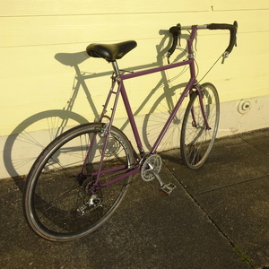 1990 Backroads / Fuji Chimayo Purple