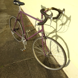 1990 Backroads / Fuji Chimayo Purple