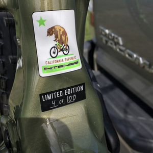 2018 Intense Recluse DVO Limited Edition Green