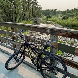 2017 Santa Cruz 5010 CC Black and Yellow or Gold